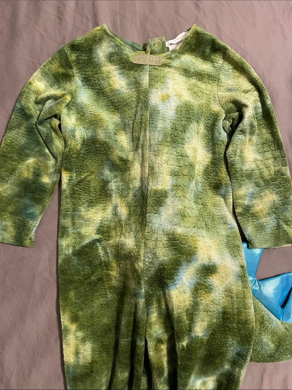 Pottery Barn Kids Light Up T. Rex Halloween Costume